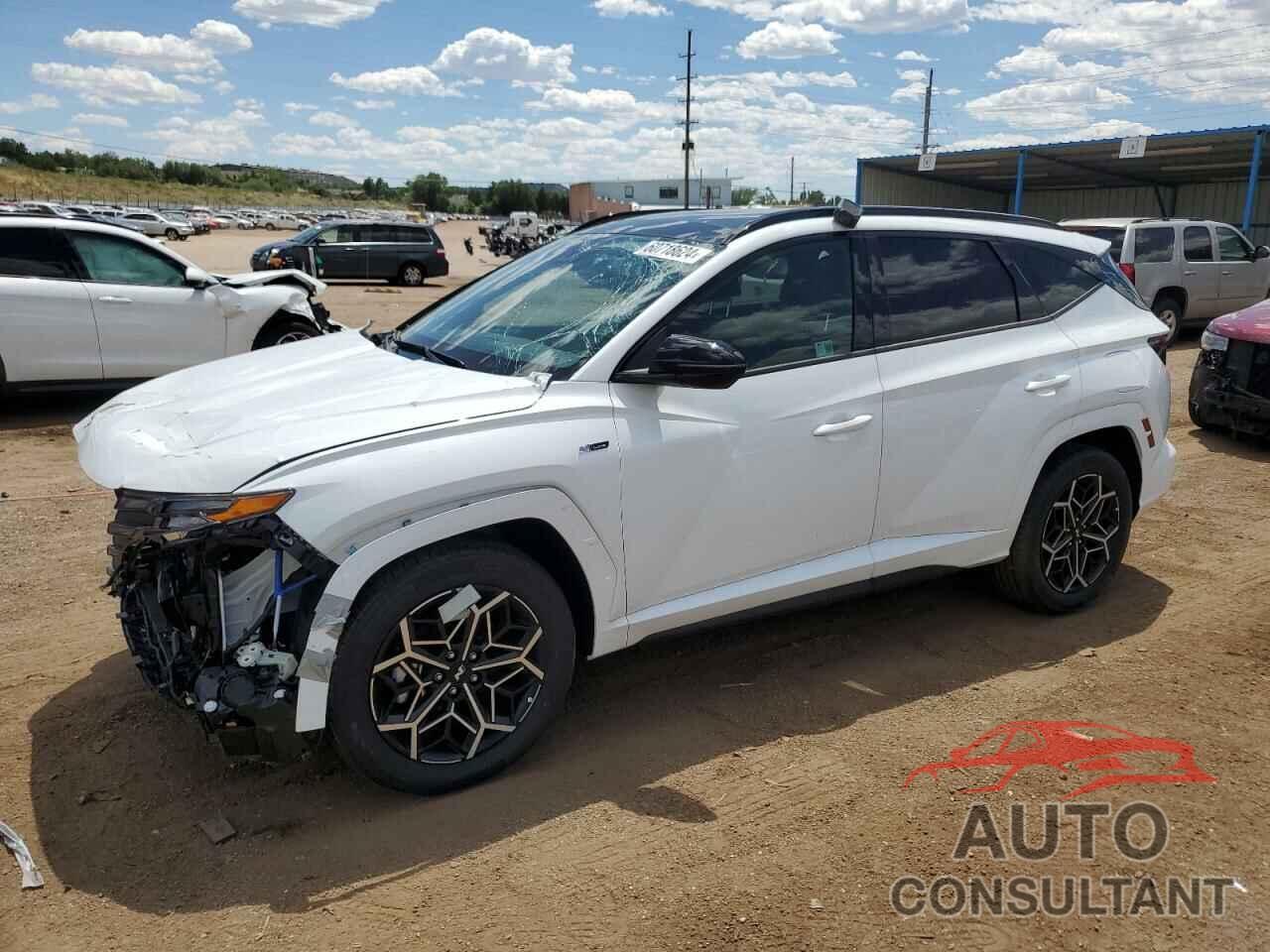 HYUNDAI TUCSON 2024 - KM8JFCD11RU167265