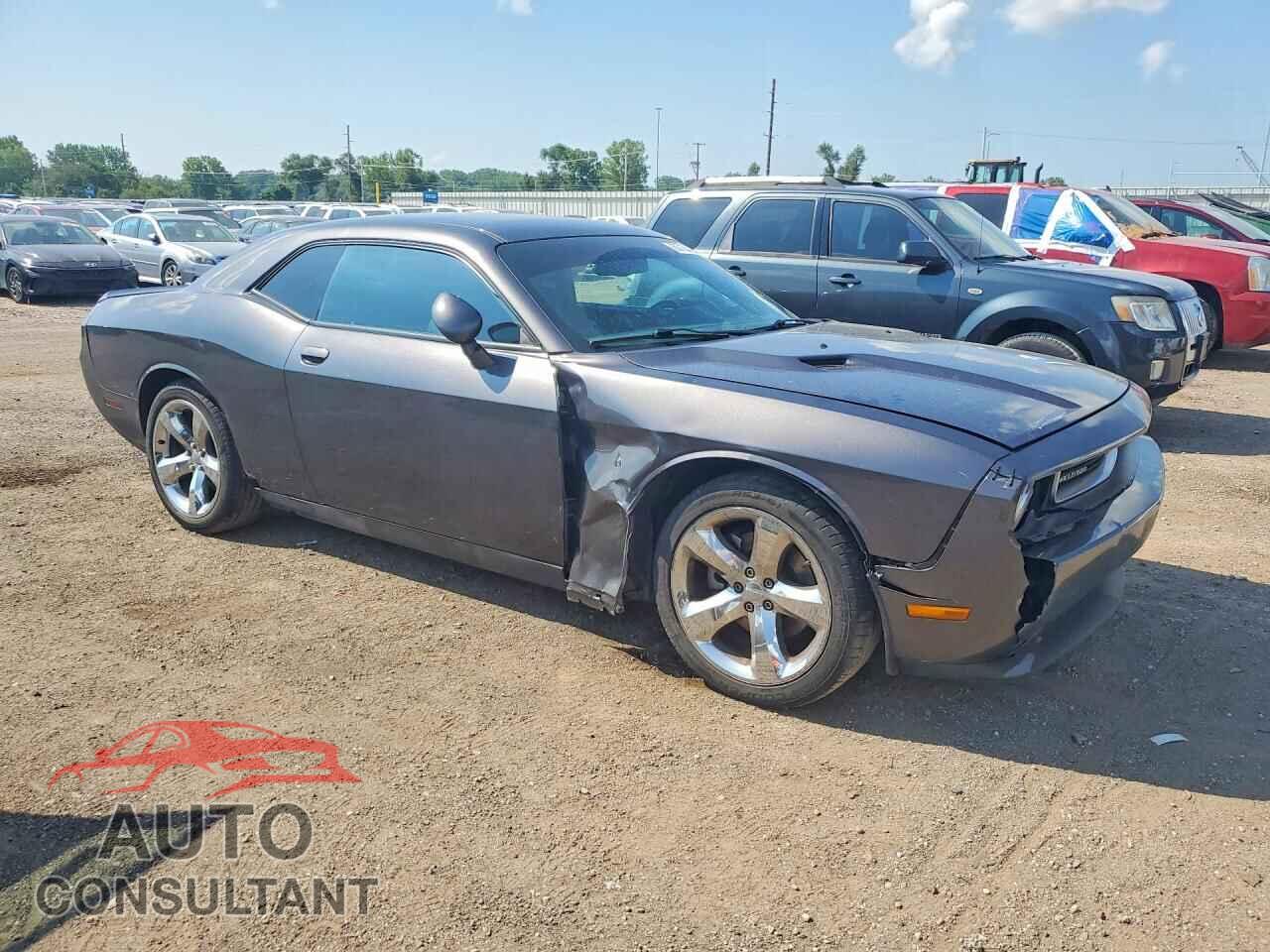 DODGE CHALLENGER 2013 - 2C3CDYAG3DH649051