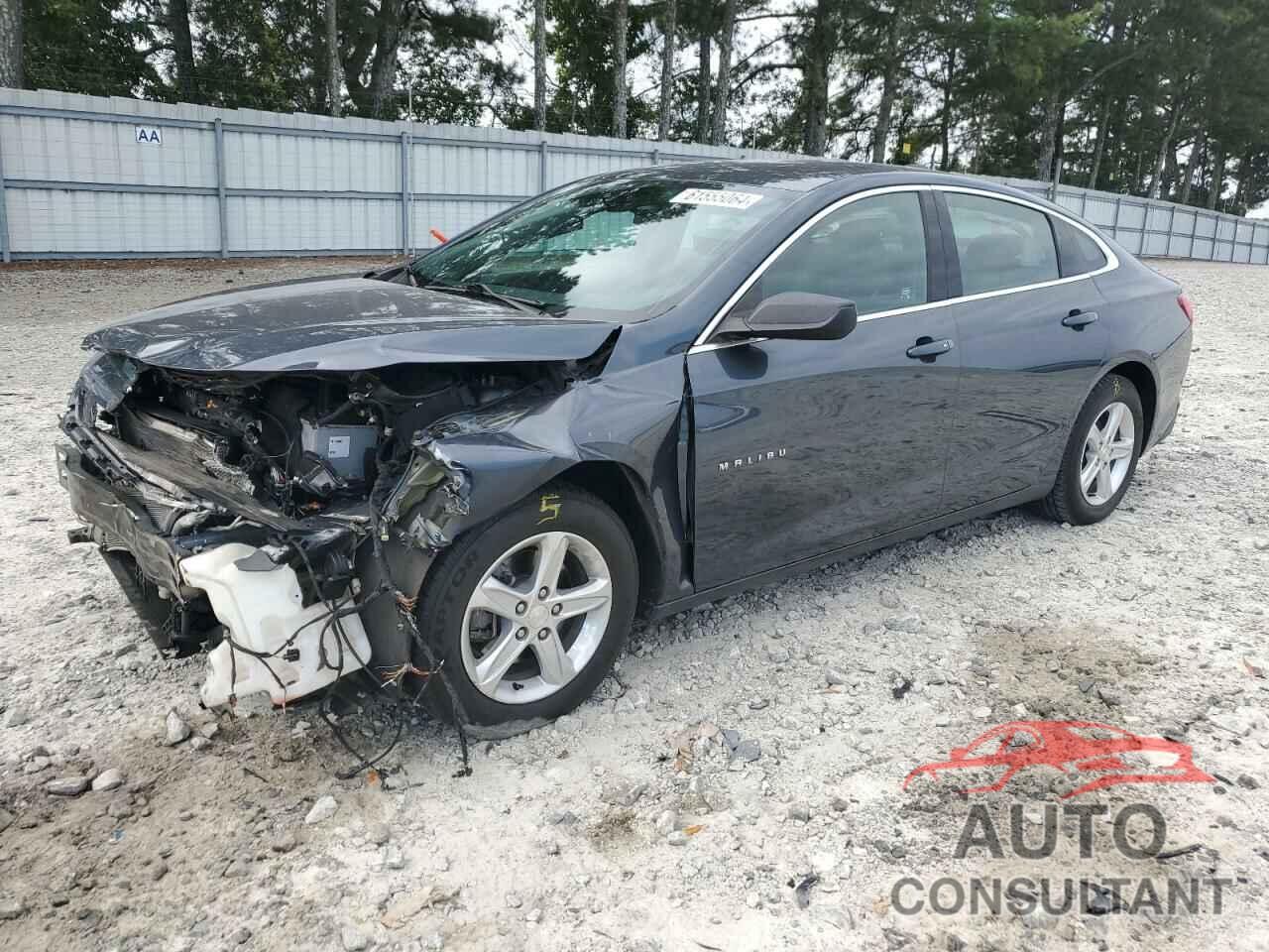 CHEVROLET MALIBU 2019 - 1G1ZB5ST6KF157966