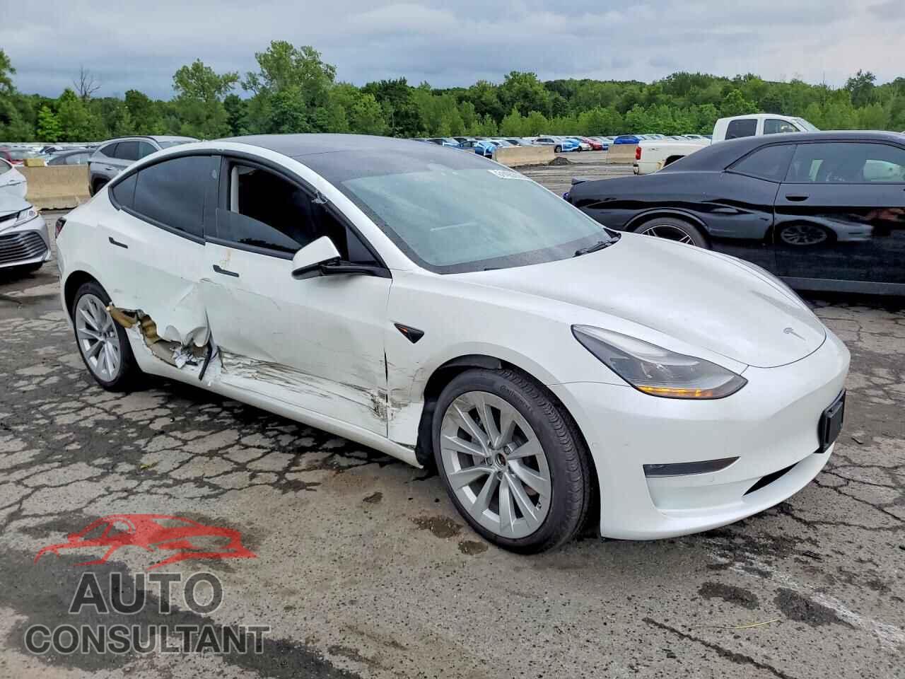 TESLA MODEL 3 2022 - 5YJ3E1EB2NF276154