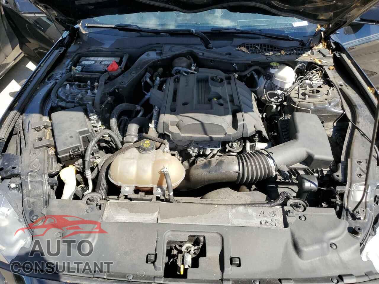 FORD MUSTANG 2018 - 1FA6P8TH2J5167590