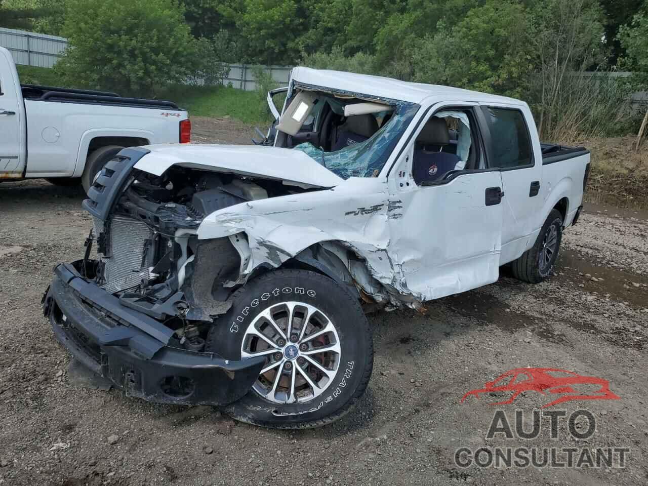 FORD F-150 2010 - 1FTEW1C85AFB25201