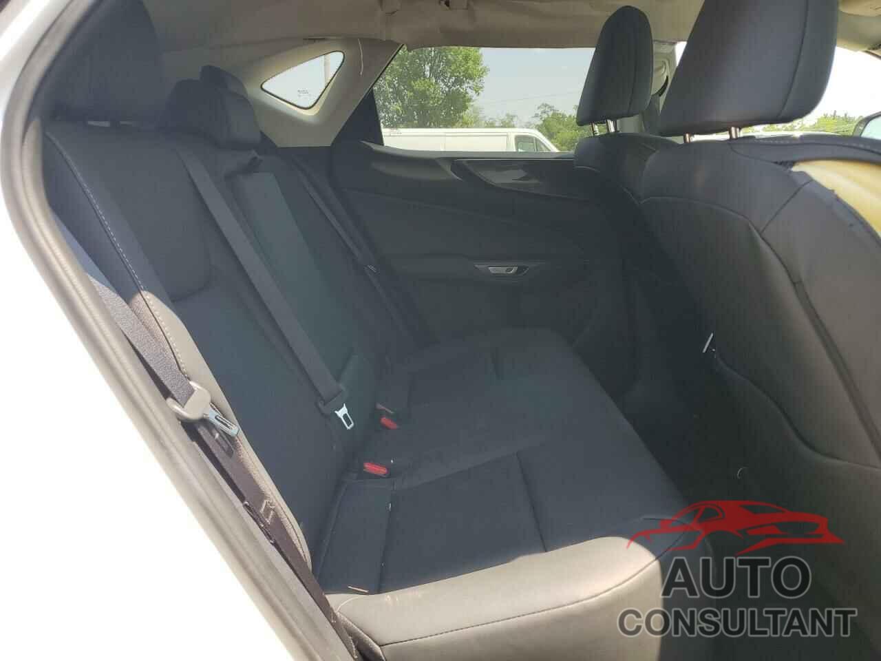 LEXUS NX 350 PRE 2024 - 2T2GGCEZ0RC056702