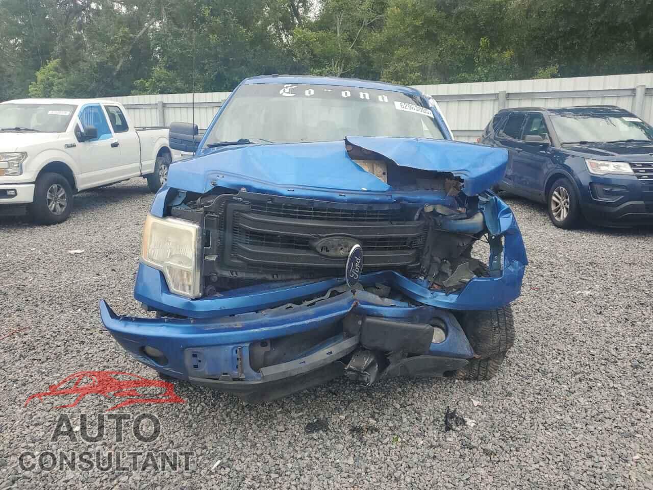 FORD F-150 2013 - 1FTFX1CF6DFD41711