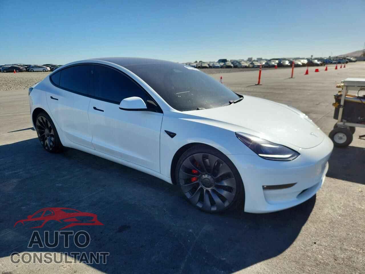 TESLA MODEL 3 2021 - 5YJ3E1EC4MF876245