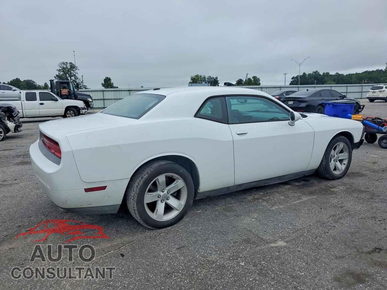DODGE CHALLENGER 2013 - 2C3CDYAG1DH569540