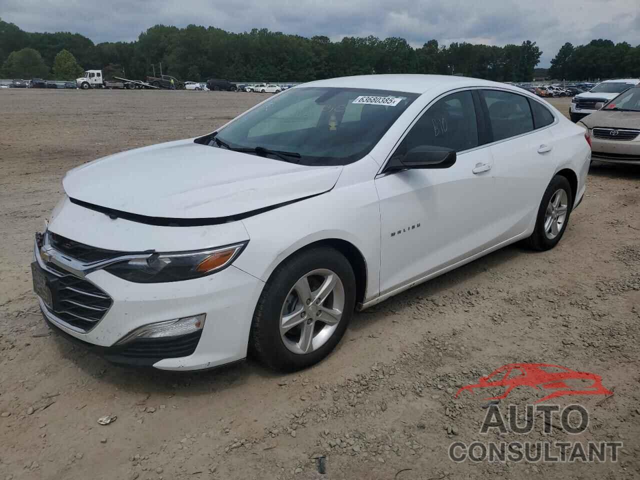 CHEVROLET MALIBU 2019 - 1G1ZB5ST3KF153096