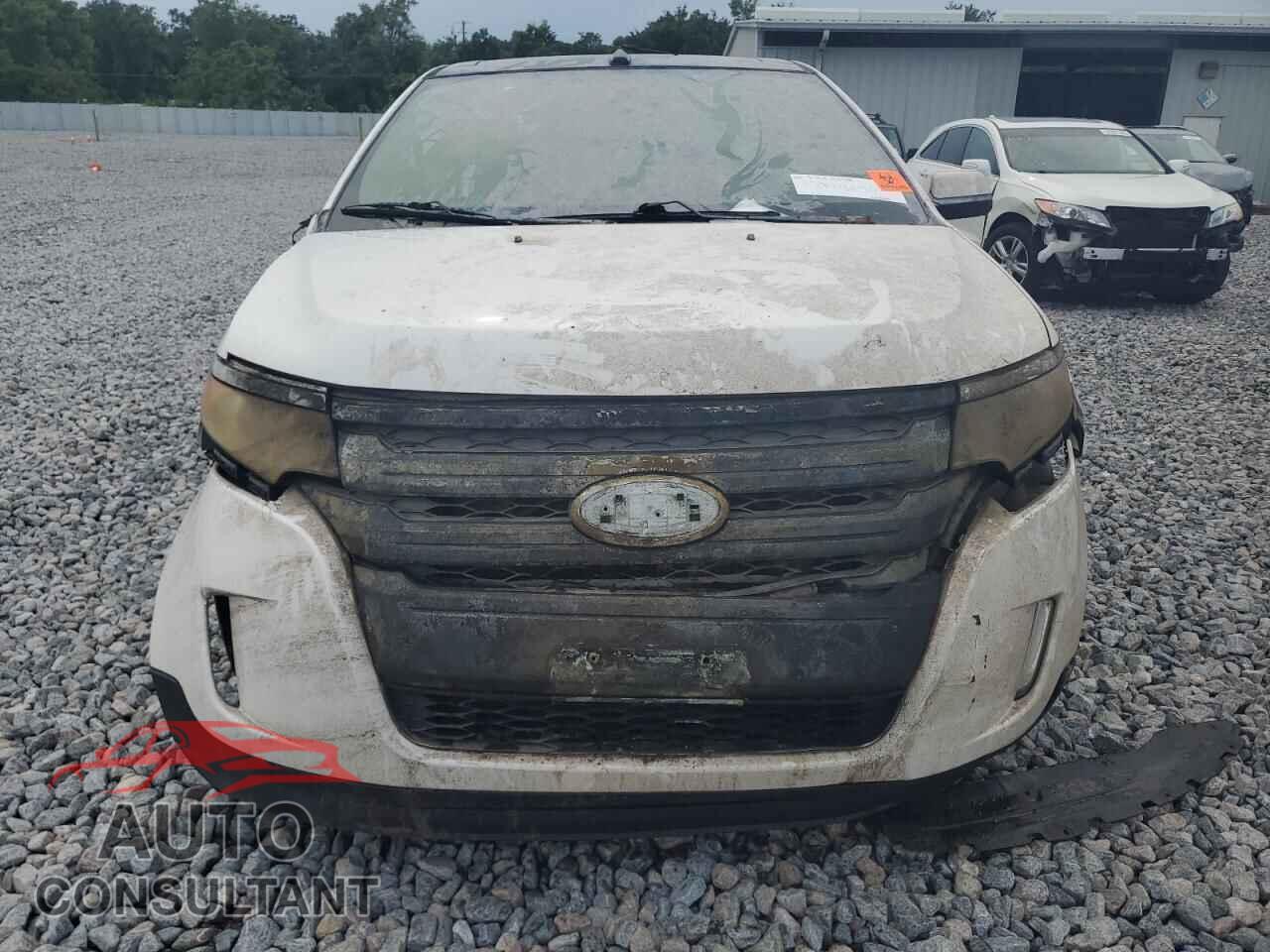 FORD EDGE 2011 - 2FMDK4KC4BBB43198