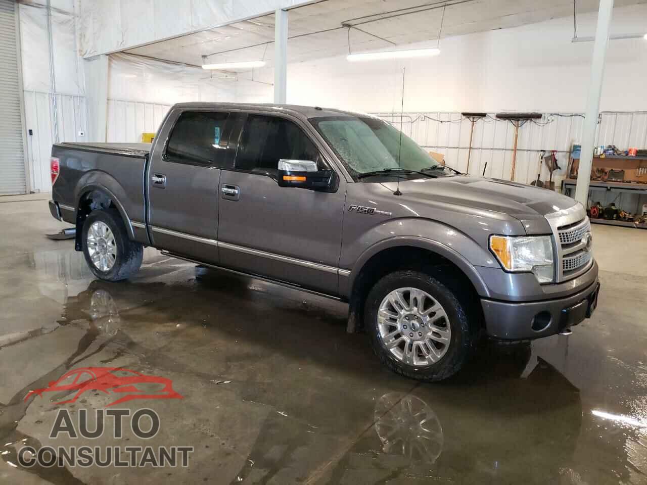 FORD F-150 2010 - 1FTFW1EV7AFD11717