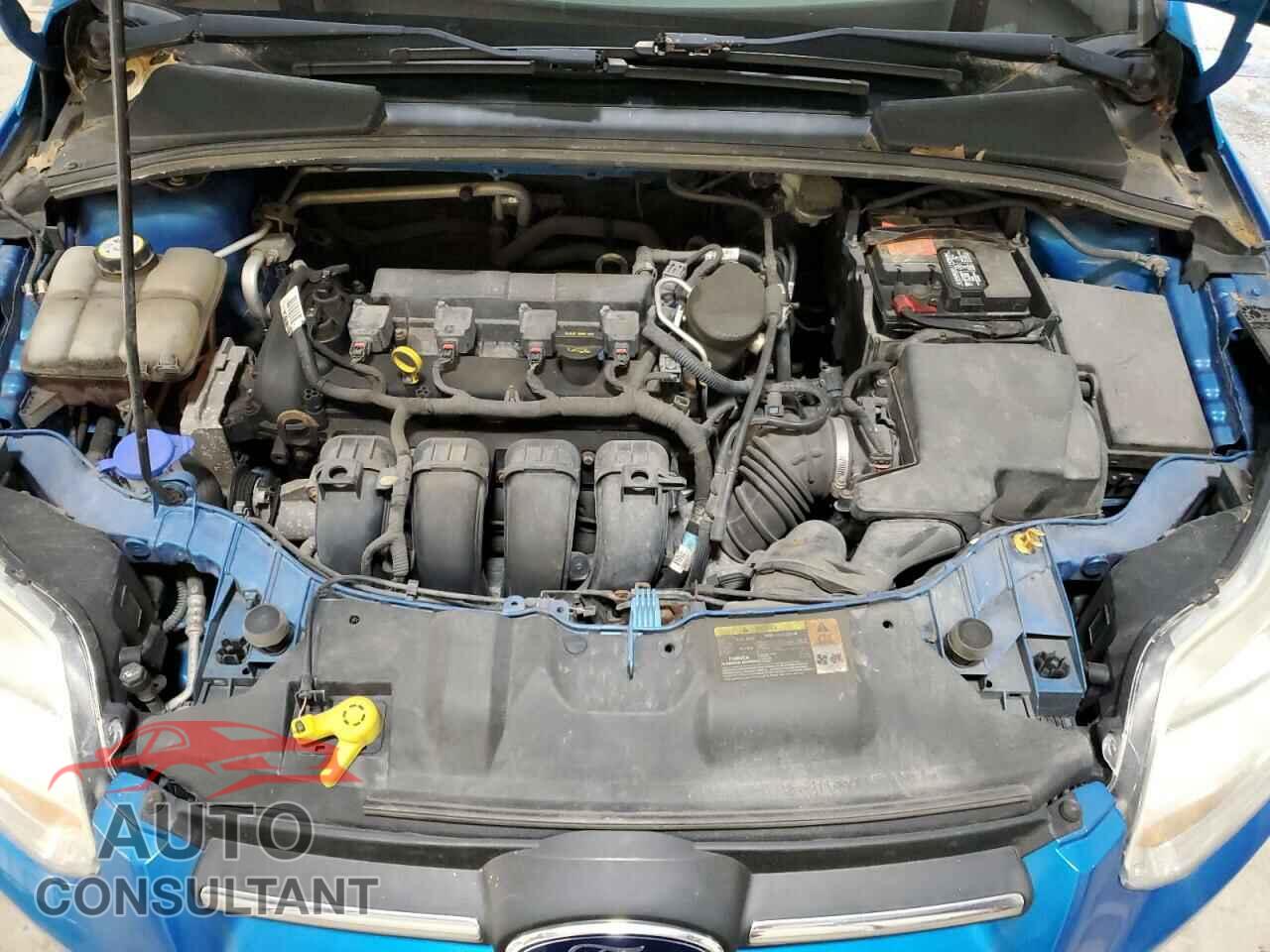 FORD FOCUS 2013 - 1FADP3K21DL194660