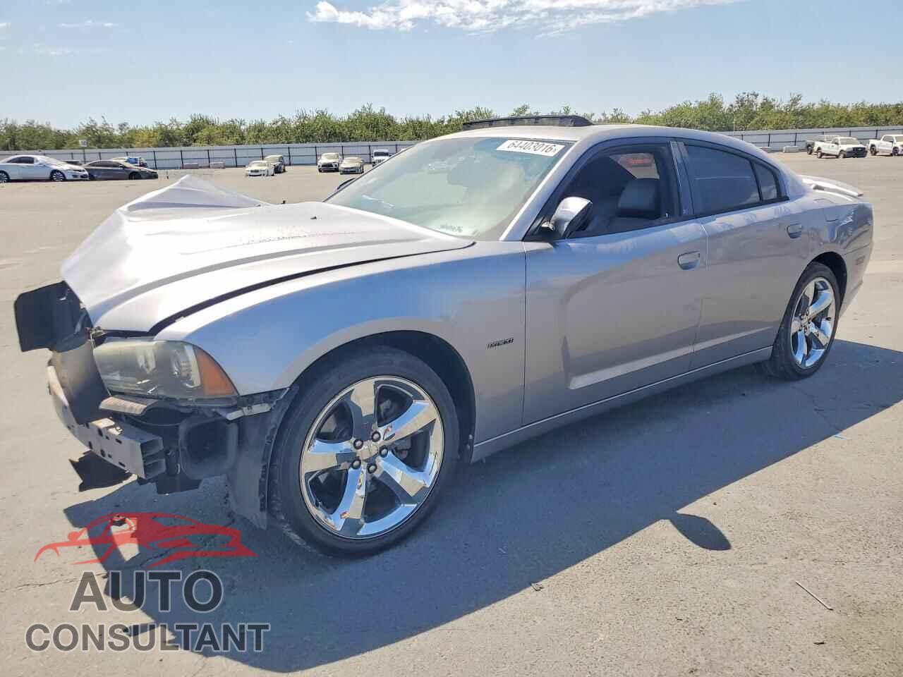 DODGE CHARGER 2013 - 2C3CDXCT3DH672592