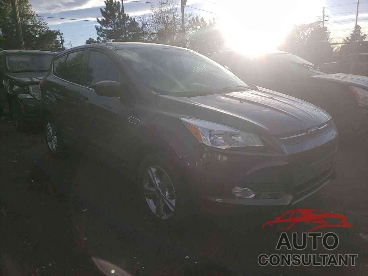 FORD ESCAPE 2016 - 1FMCU9GX1GUC79403