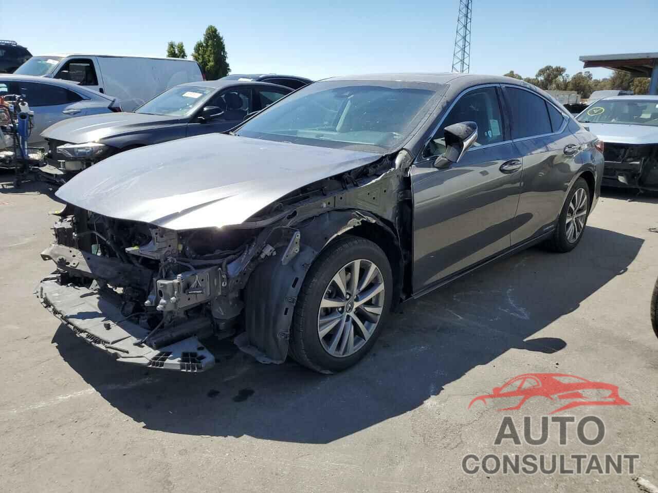 LEXUS ES300 2020 - 58AC21B16LU008088