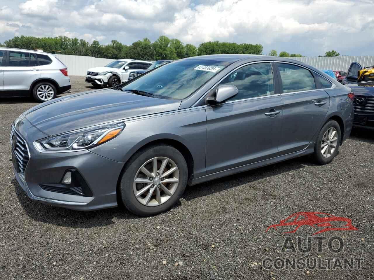HYUNDAI SONATA 2019 - 5NPE24AF1KH747493