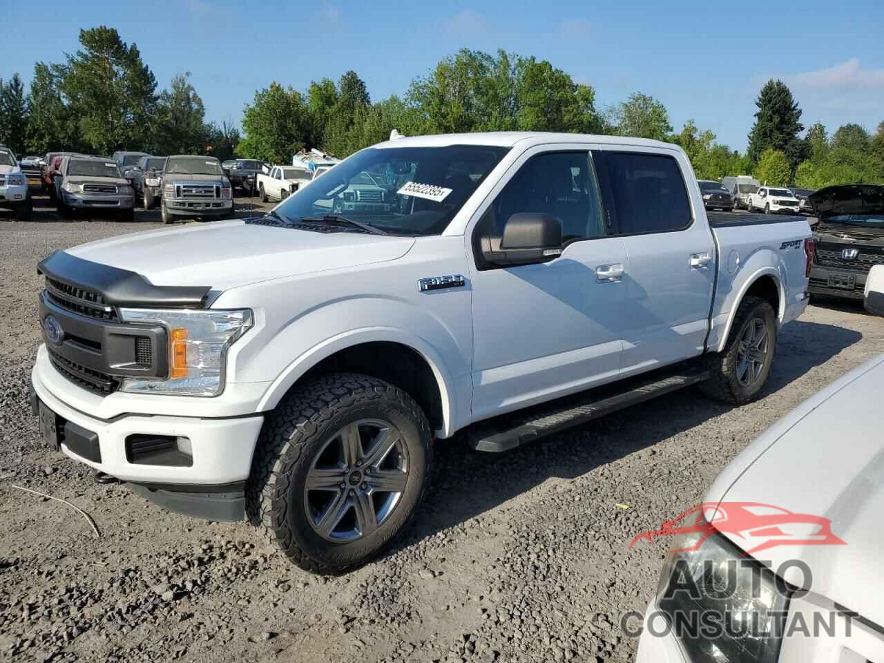 FORD F-150 2018 - 1FTEW1E5XJKE54339