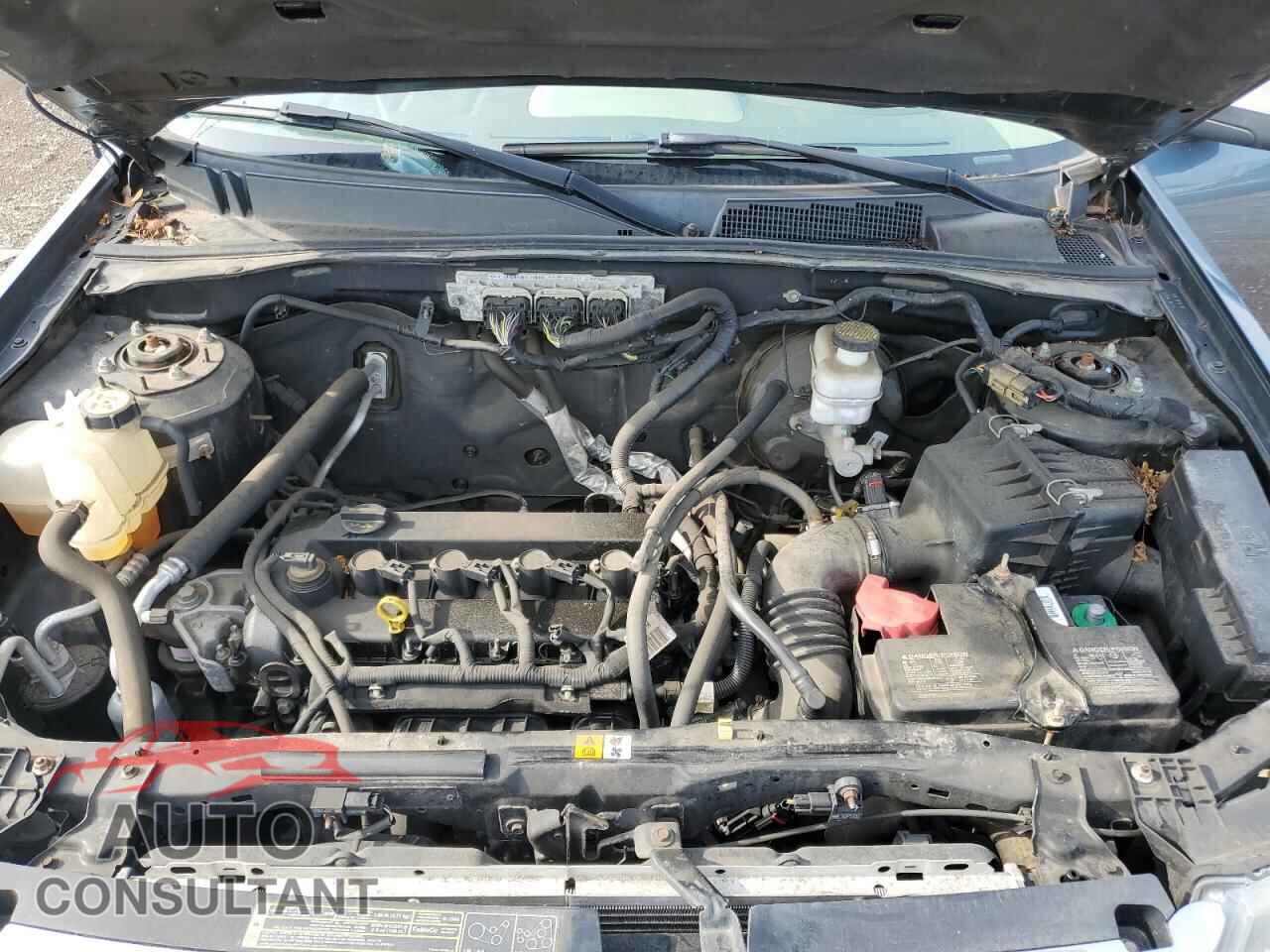 FORD ESCAPE 2010 - 1FMCU0C75AKB65635