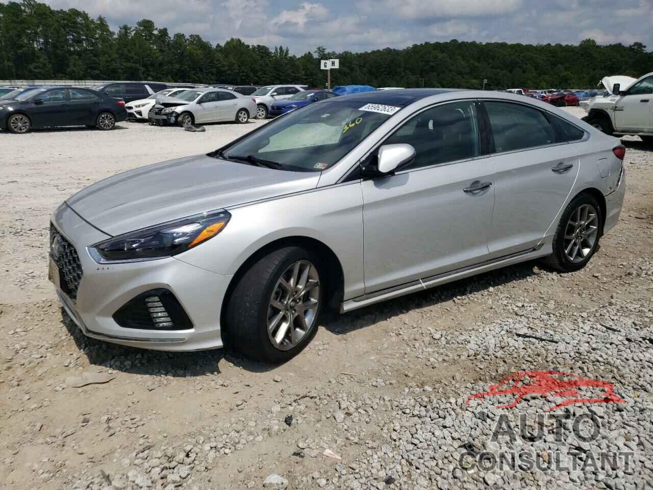 HYUNDAI SONATA 2019 - 5NPE34AB9KH751320