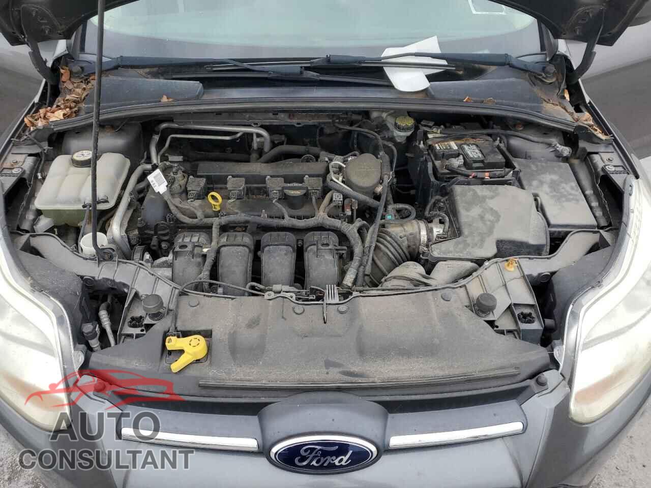 FORD FOCUS 2012 - 1FAHP3F2XCL297702