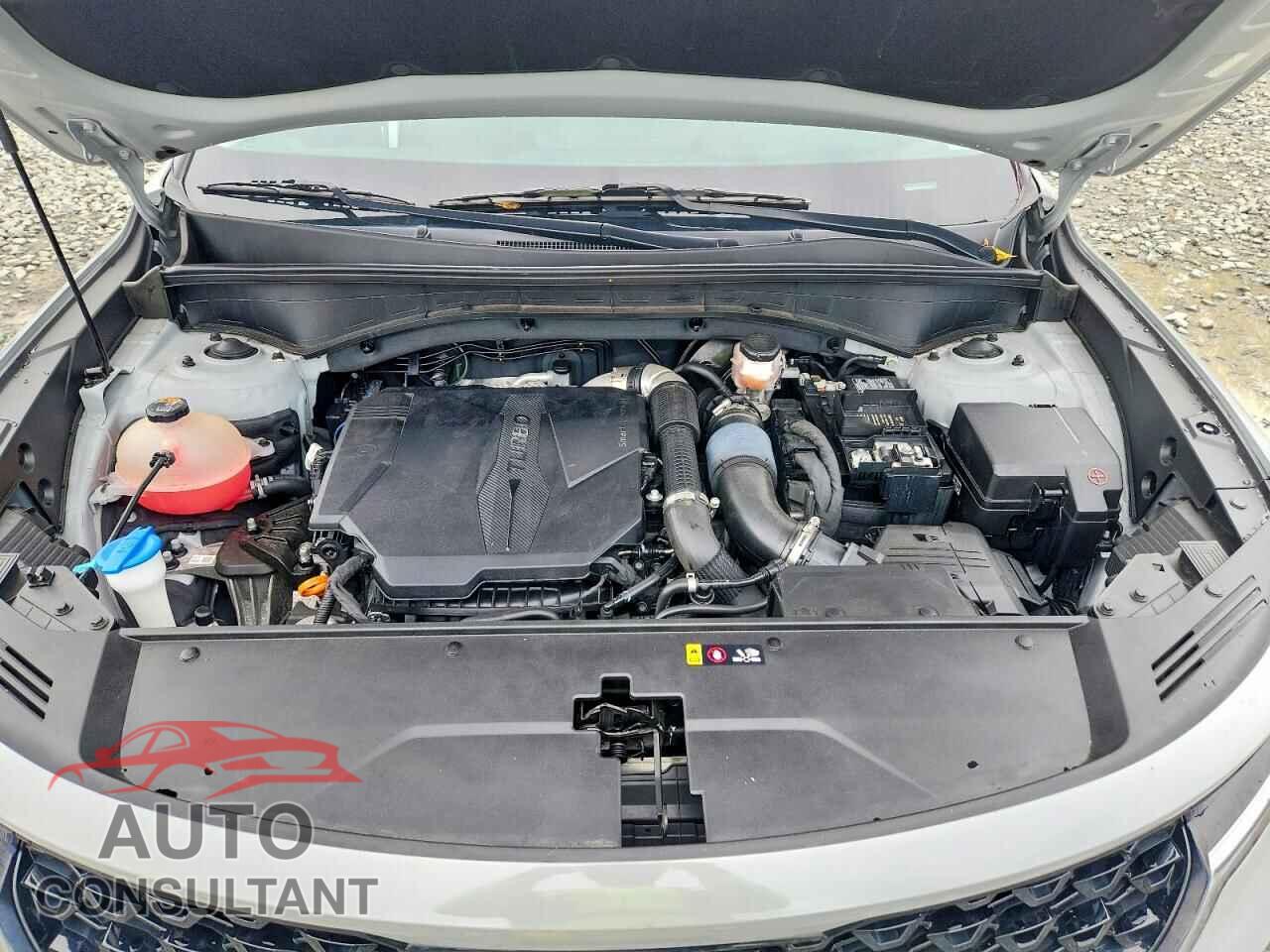KIA SORENTO 2023 - 5XYRKDLFXPG200316