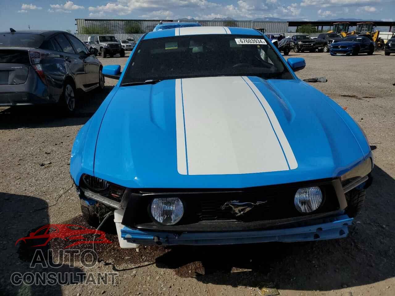 FORD MUSTANG 2012 - 1ZVBP8CF4C5256875