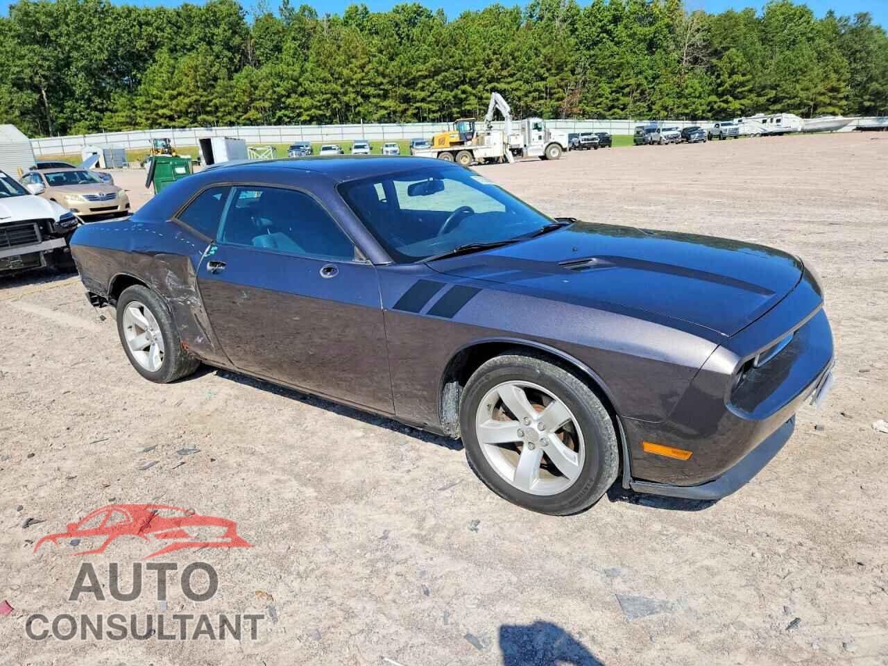 DODGE CHALLENGER 2014 - 2C3CDYAG8EH203964