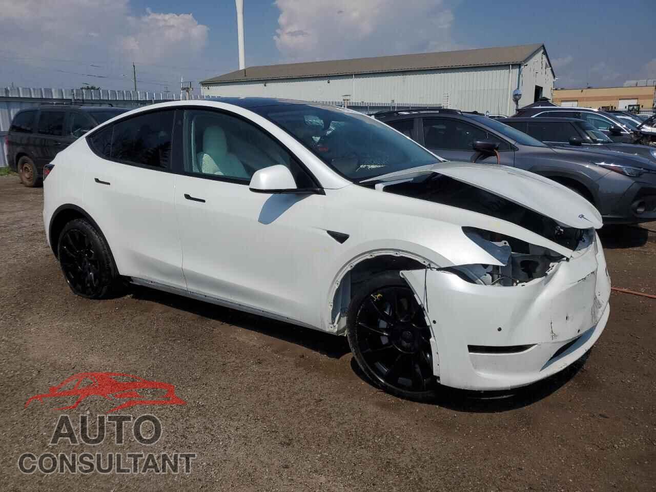 TESLA MODEL Y 2022 - 7SAYGAEE5NF538035