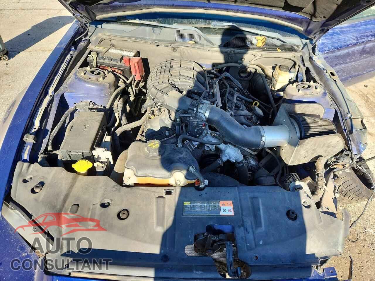 FORD MUSTANG 2013 - 1ZVBP8AM8D5252685