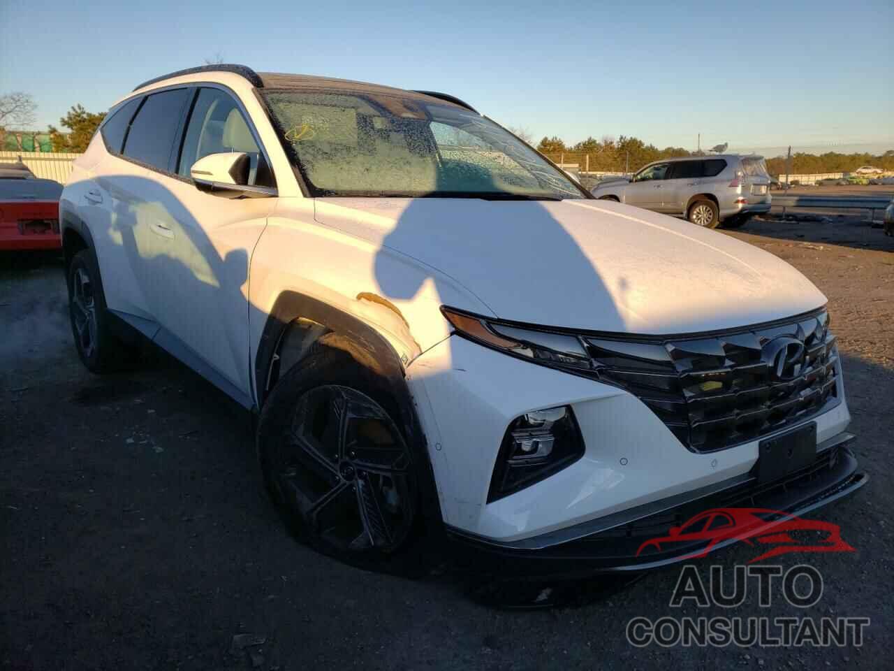 HYUNDAI TUCSON 2022 - 5NMJECAEXNH050509