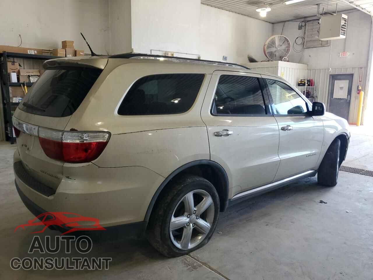 DODGE DURANGO 2011 - 1D4RE5GG1BC667835