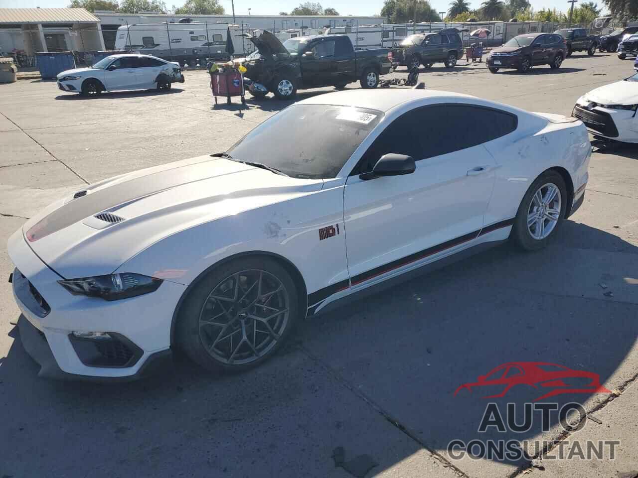 FORD MUSTANG 2021 - 1FA6P8R03M5551948