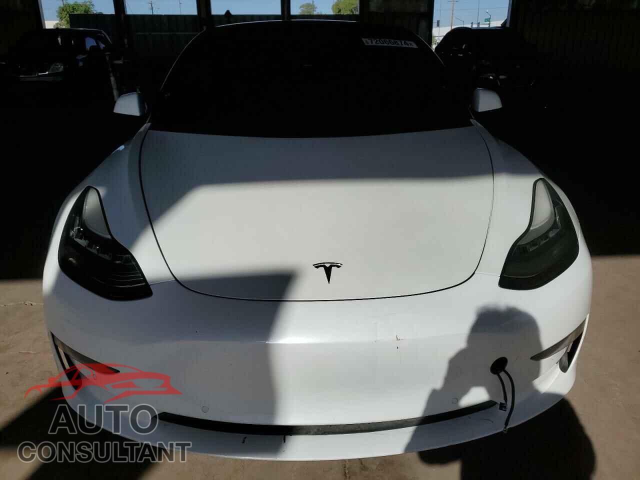 TESLA MODEL 3 2019 - 5YJ3E1EA3KF397178