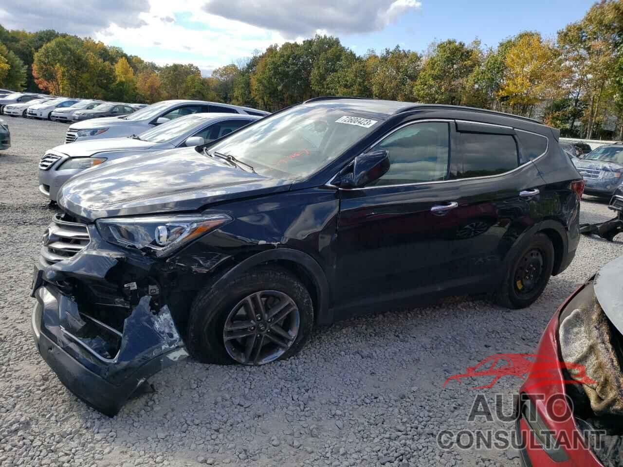 HYUNDAI SANTA FE 2017 - 5NMZUDLB5HH025164