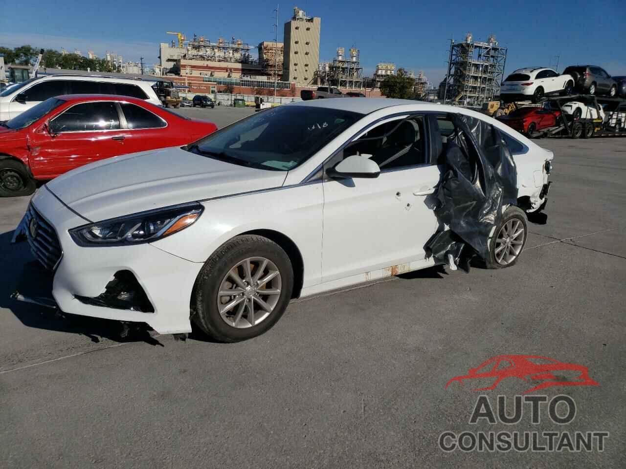 HYUNDAI SONATA 2019 - 5NPE24AFXKH772862