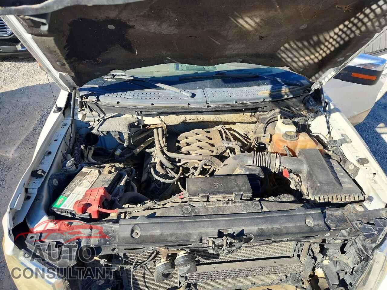 FORD F150 2011 - 1FTFW1EF4BKD33496
