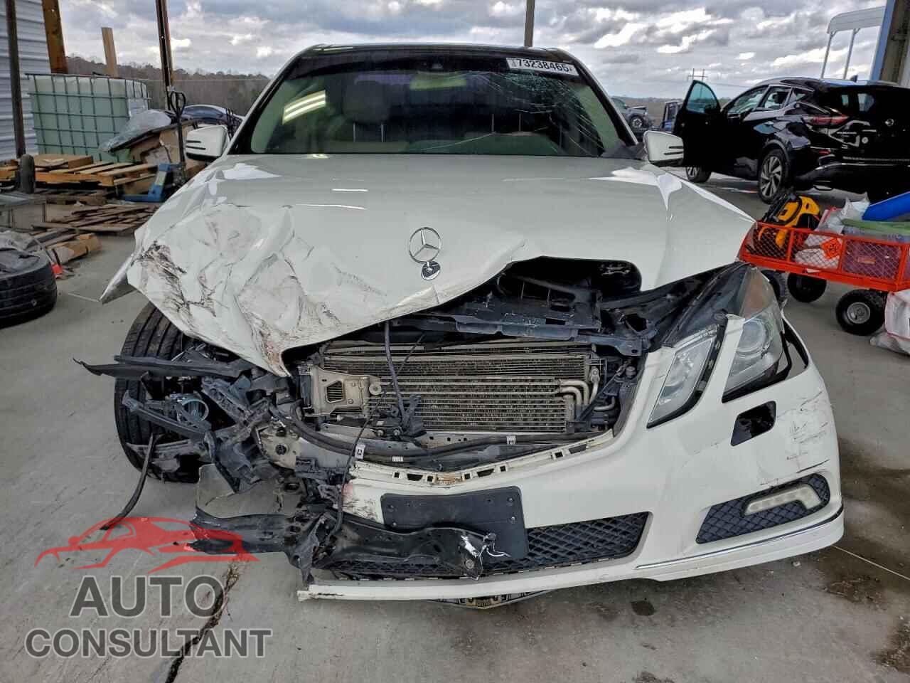 MERCEDES-BENZ E-CLASS 2010 - WDDHF7CB5AA207282