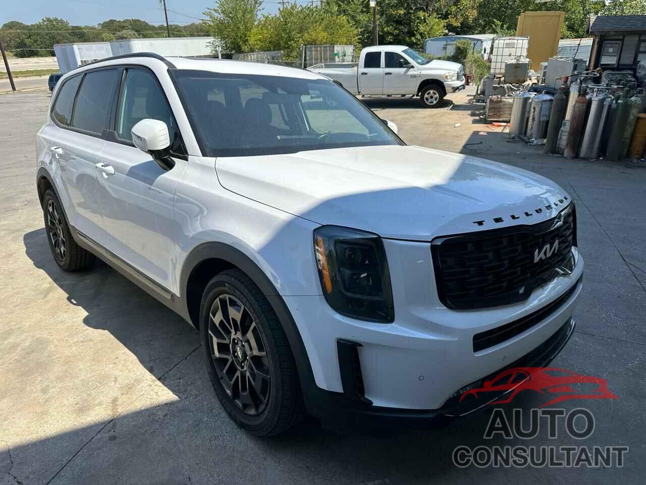 KIA TELLURIDE 2022 - 5XYP5DHCXNG264785