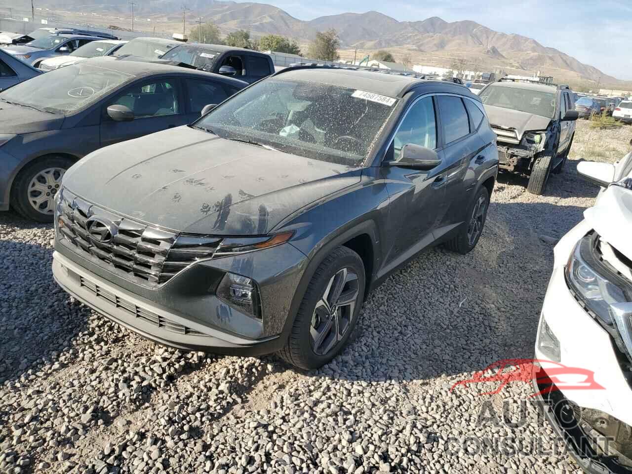 HYUNDAI TUCSON 2022 - 5NMJCCAE8NH009396