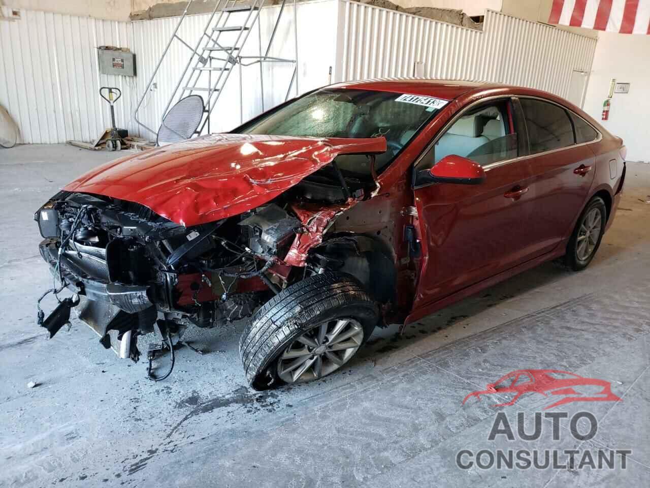 HYUNDAI SONATA 2019 - 5NPE24AF8KH746650