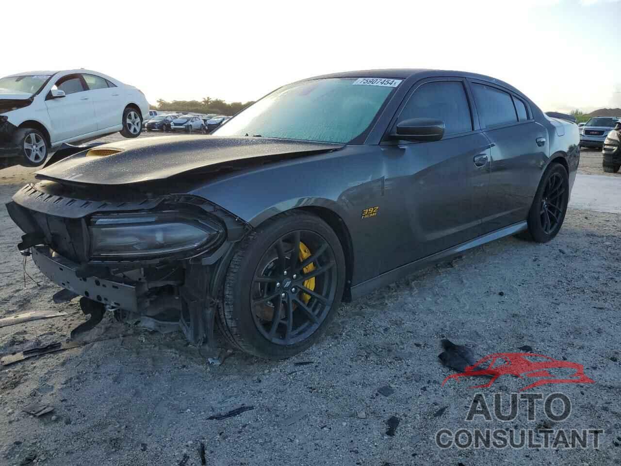 DODGE CHARGER 2018 - 2C3CDXGJ3JH221697