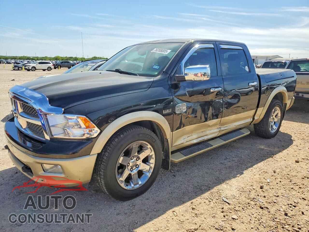 DODGE All Models 2011 - 1D7RV1CT4BS595243
