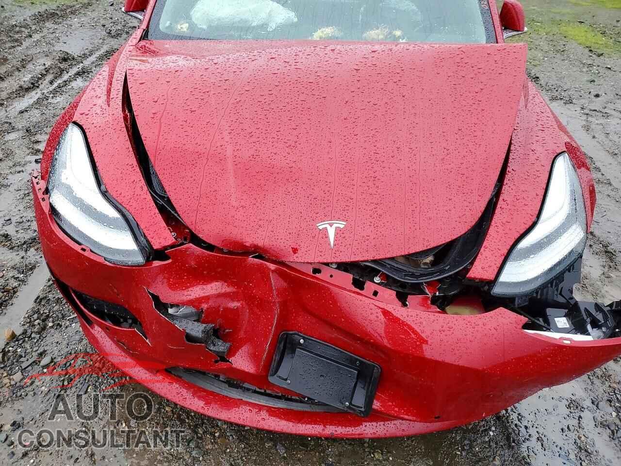 TESLA MODEL 3 2019 - 5YJ3E1EA4KF311313