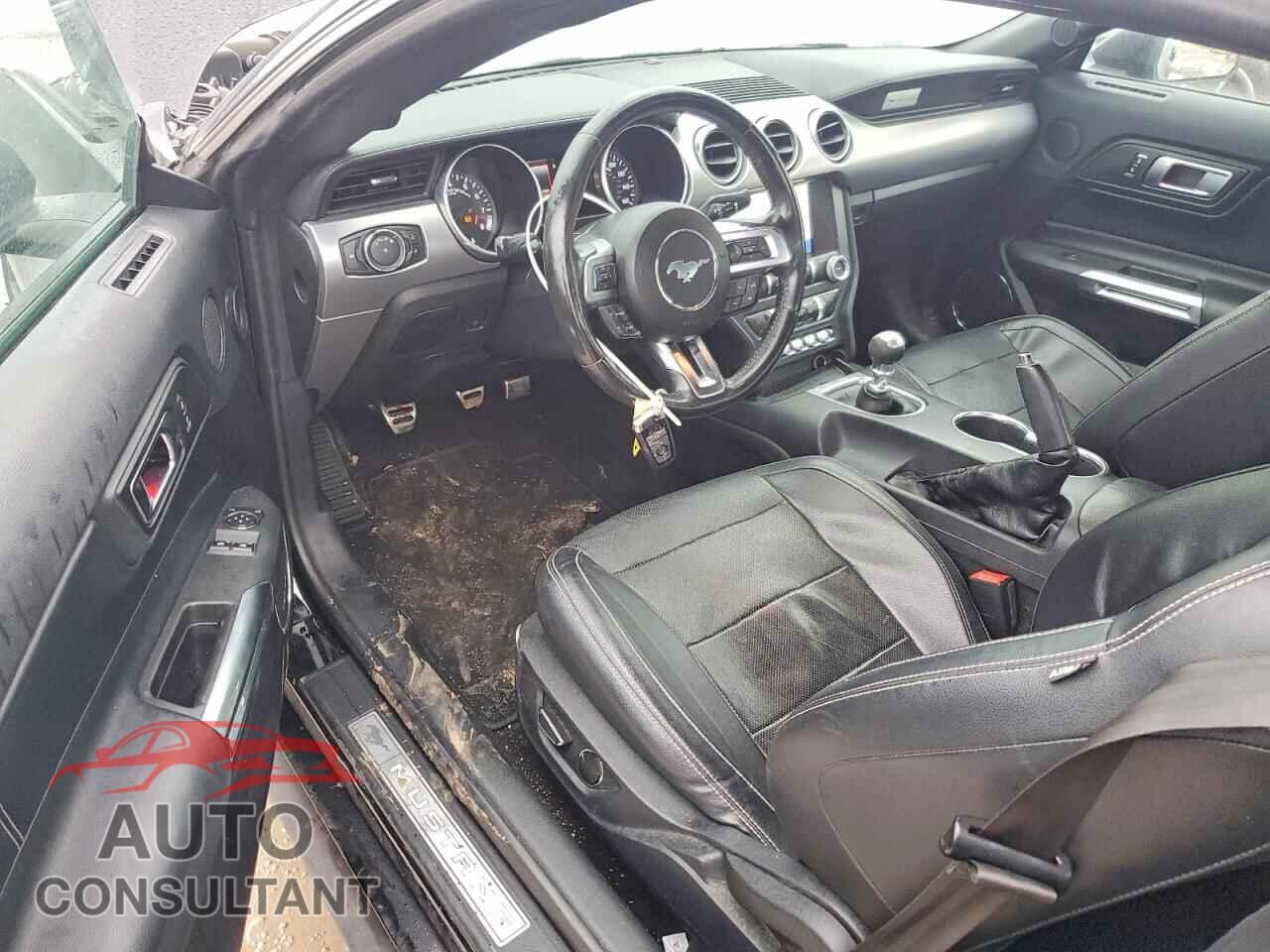 FORD MUSTANG 2019 - 1FA6P8CF4K5125437
