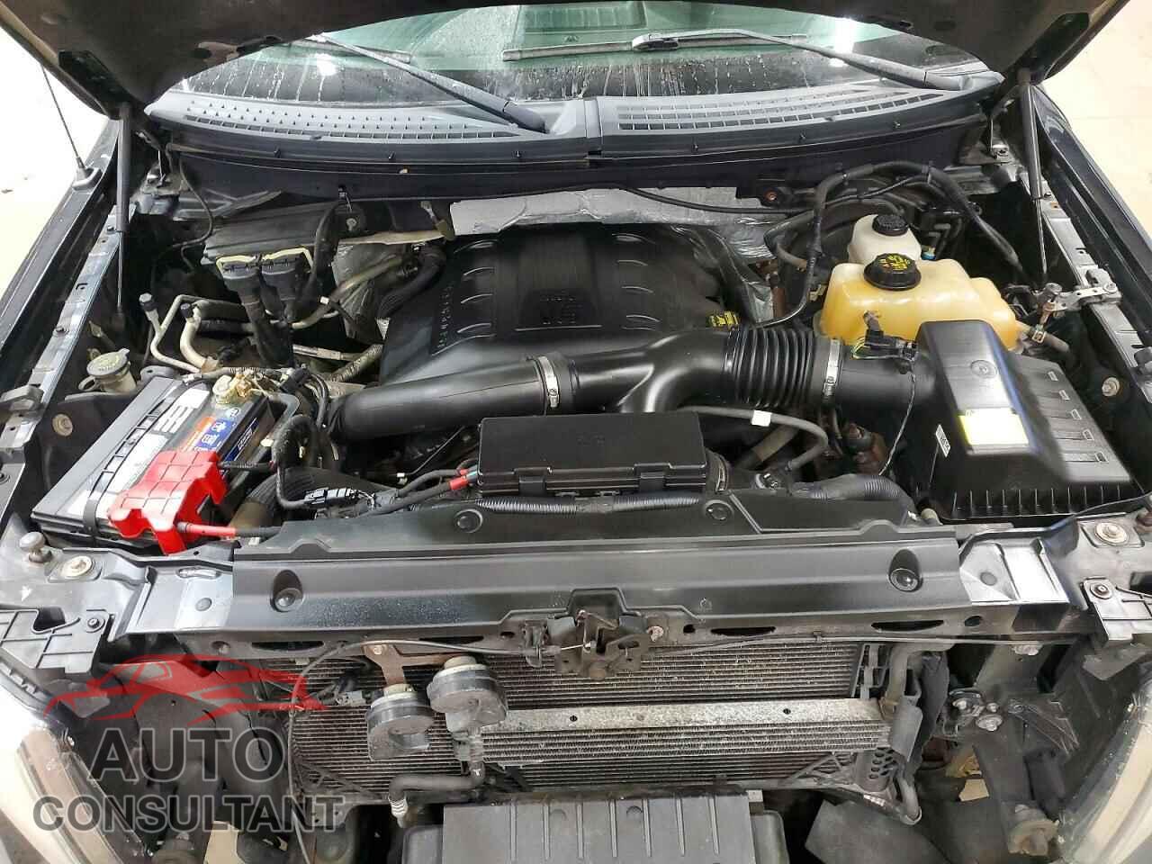 FORD F-150 2012 - 1FTFX1ETXCFB33445