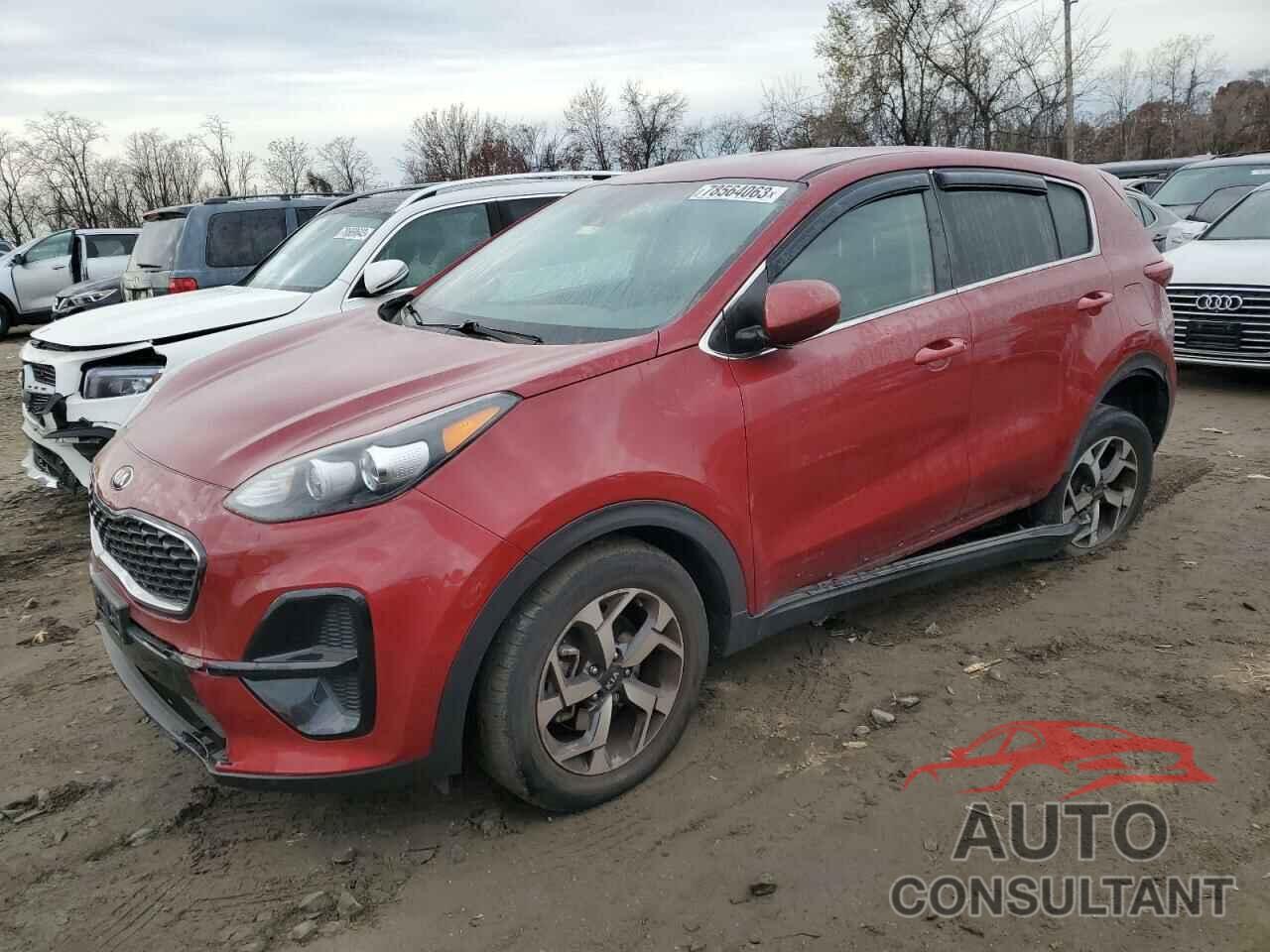 KIA SPORTAGE 2020 - KNDPM3AC1L7699342
