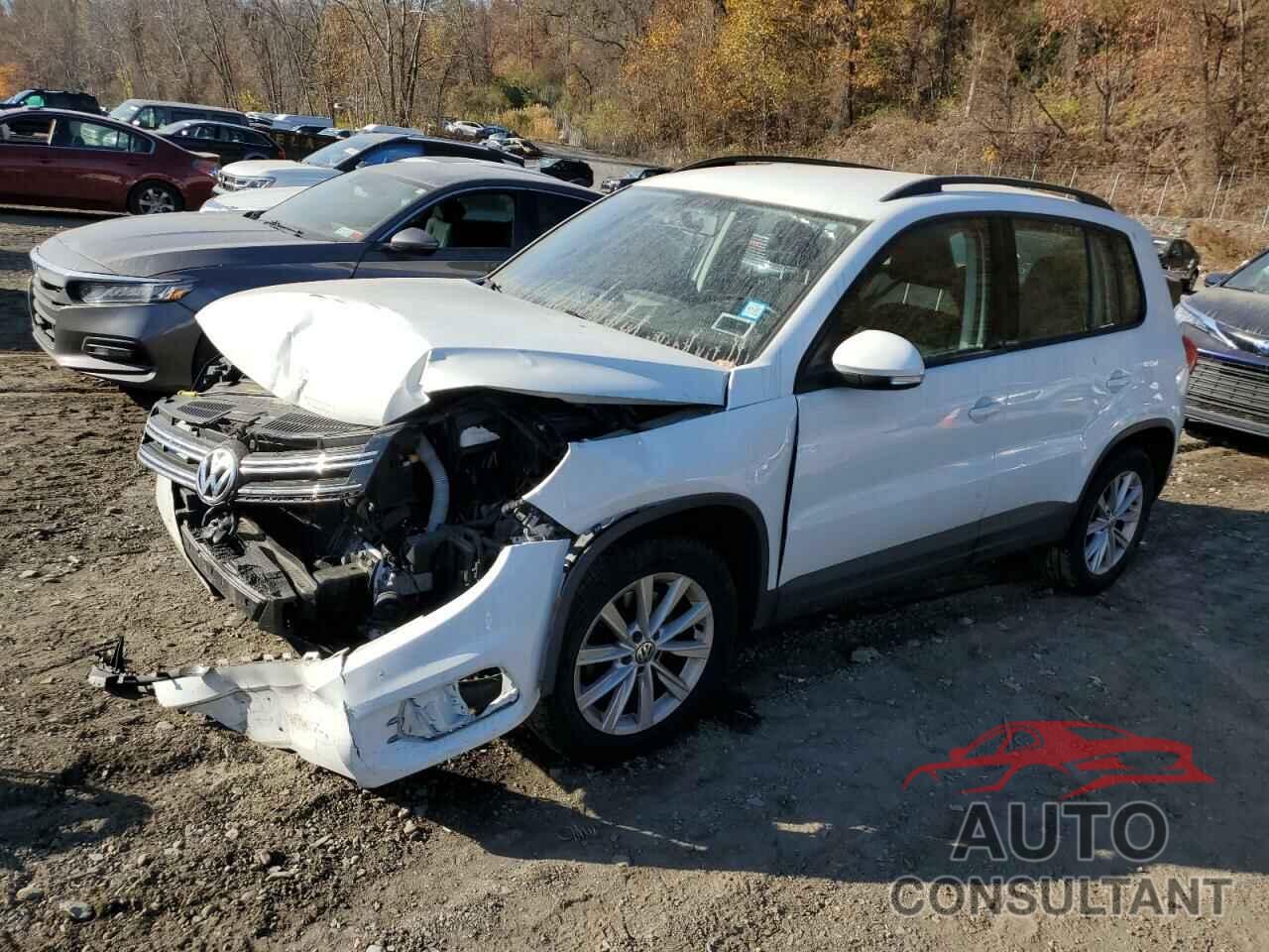 VOLKSWAGEN TIGUAN 2017 - WVGBV7AX3HK044374