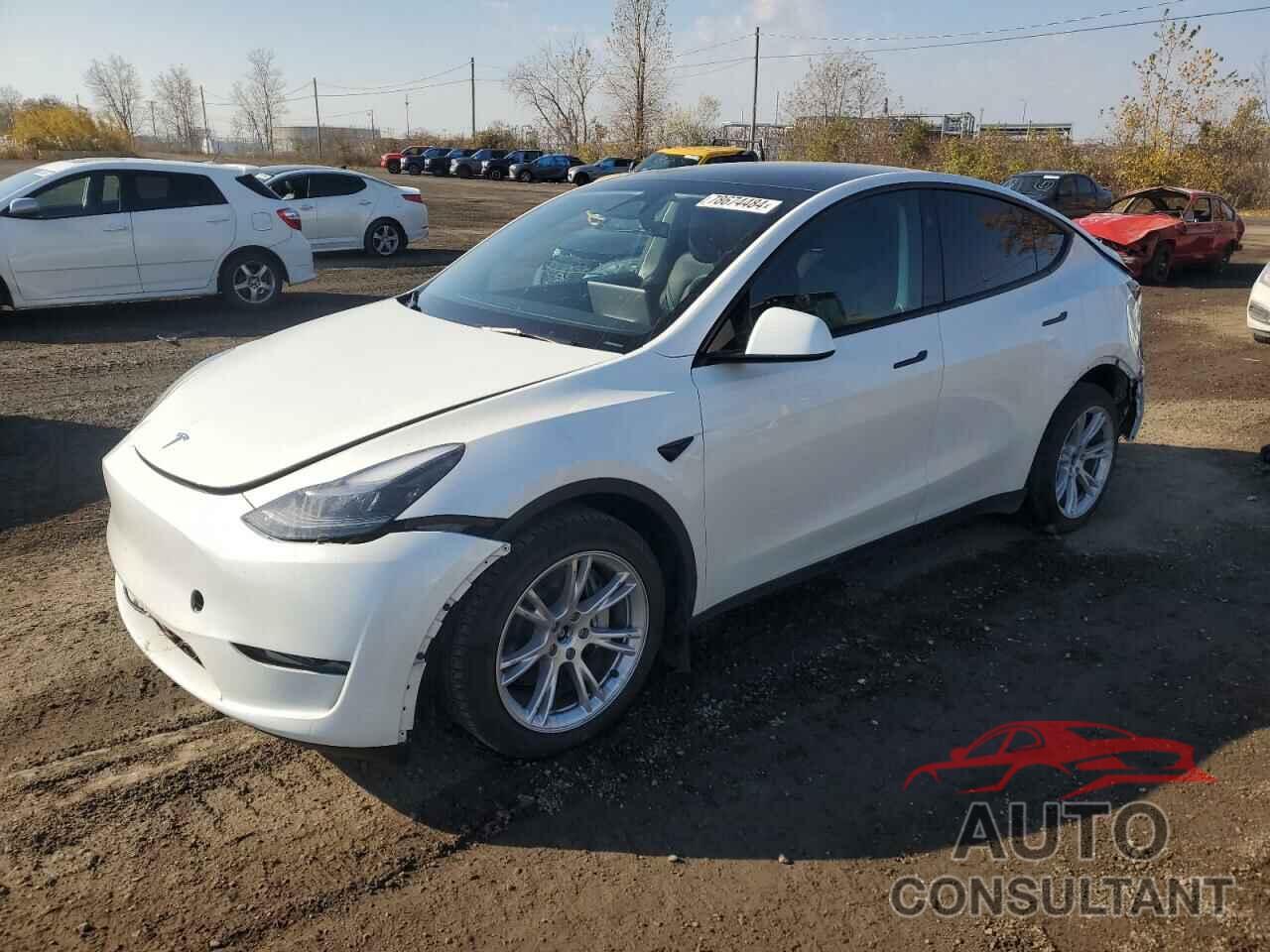 TESLA MODEL Y 2024 - 7SAYGDEE0RF055642