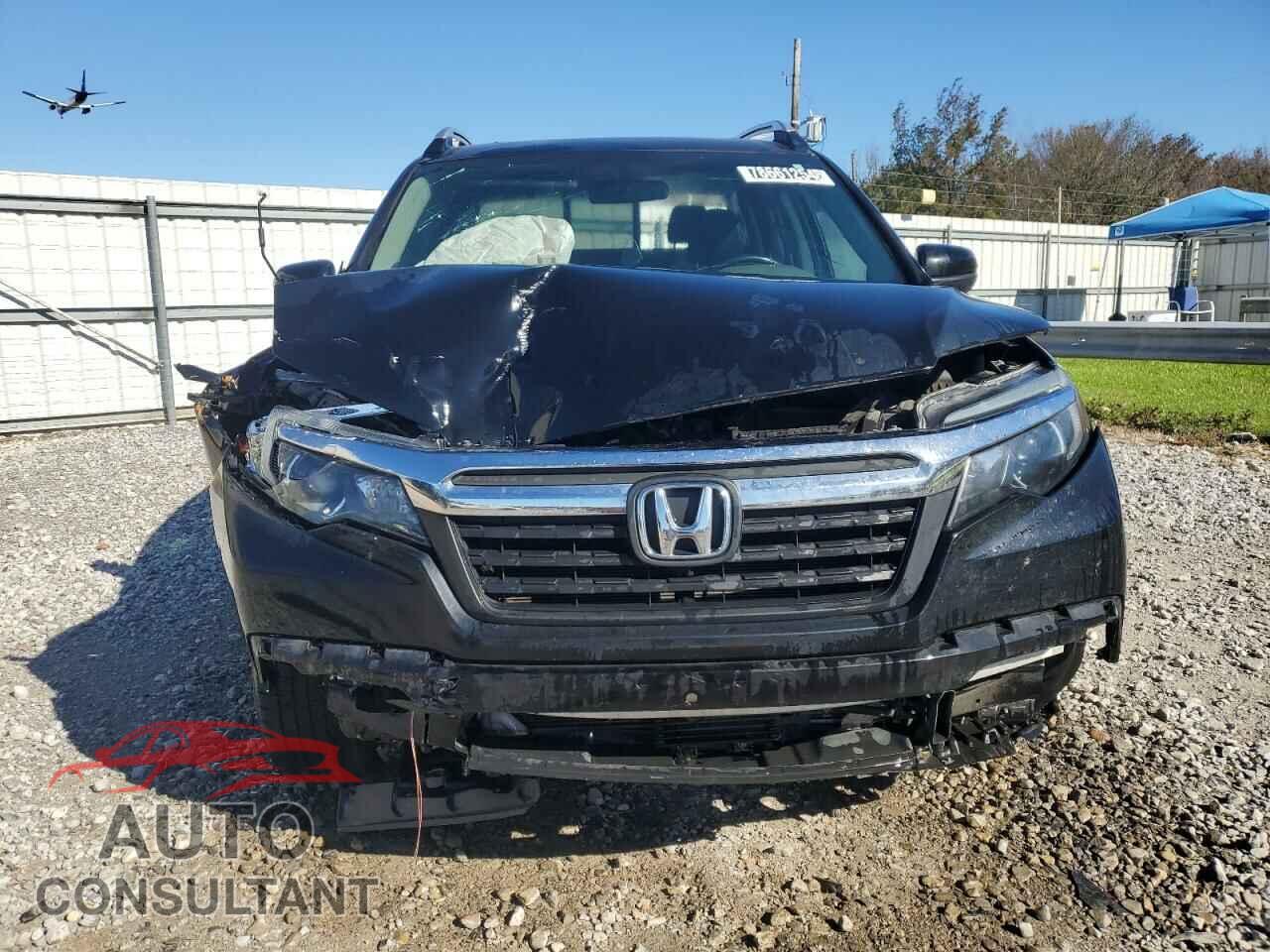 HONDA RIDGELINE 2019 - 5FPYK3F52KB036284