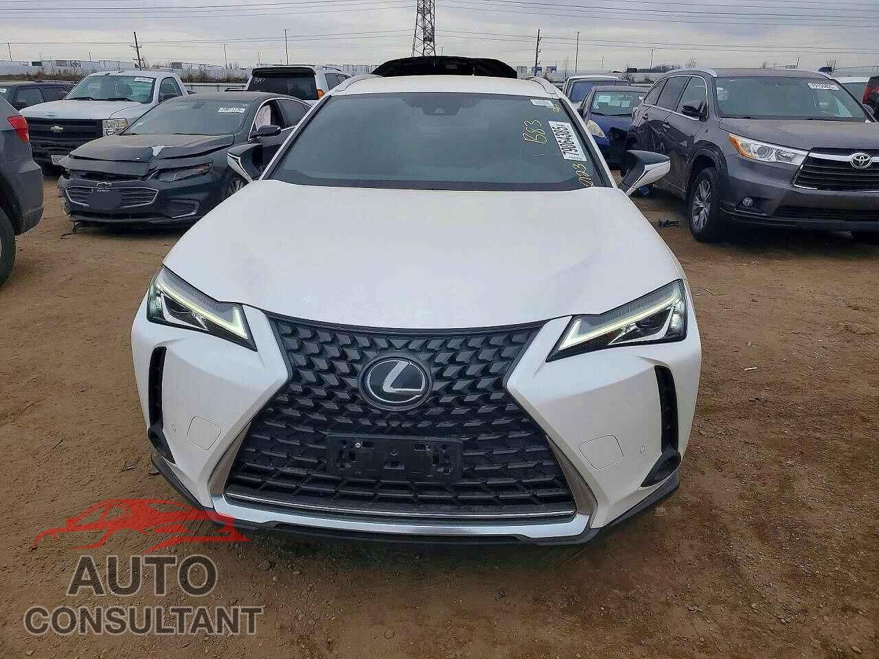 LEXUS UNKNOWN 2020 - JTHX3JBH3L2029238