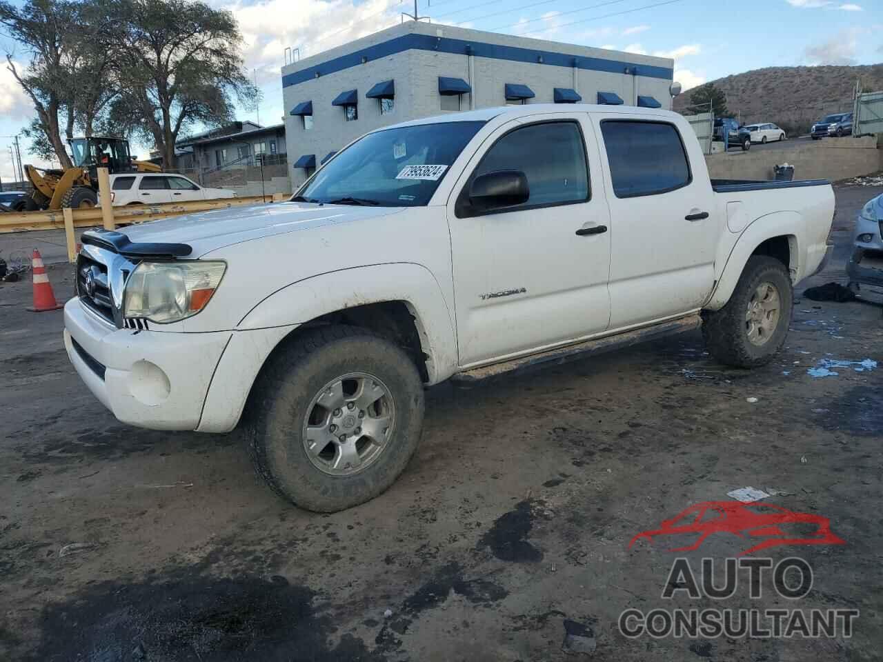 TOYOTA TACOMA 2009 - 5TELU42N09Z601875