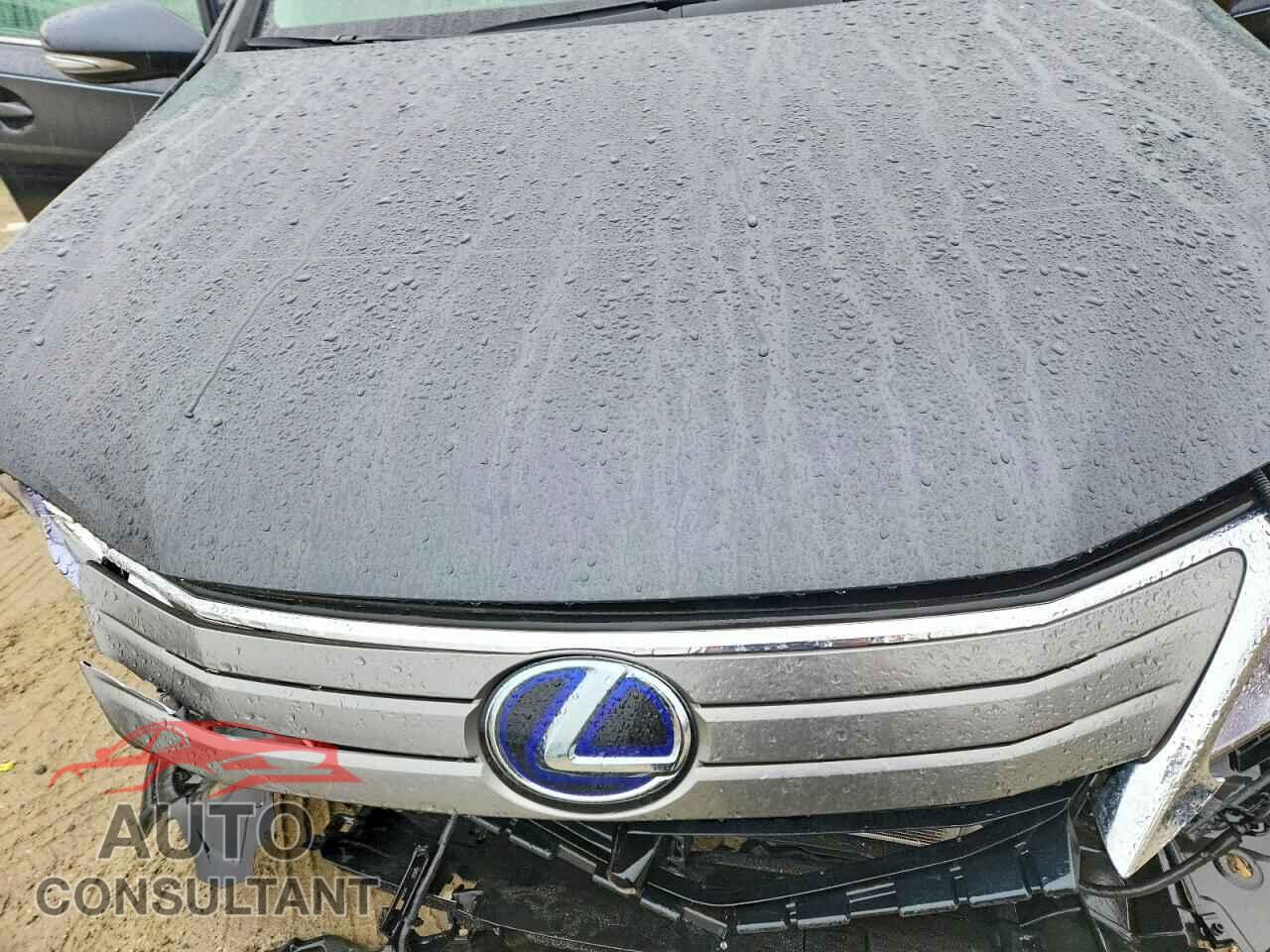 LEXUS HS 2010 - JTHBB1BA7A2019325